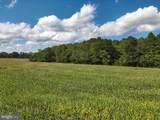  Blueberry Road - Photo 43