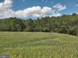  Blueberry Road - Photo 44