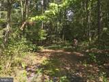  Blueberry Road - Photo 46