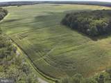  Blueberry Road - Photo 7