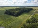  Blueberry Road - Photo 8