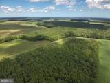 Blueberry Road - Photo 9