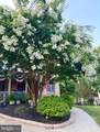 408 Grist Mill Road - Photo 66