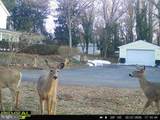 201 Ericsson Avenue - Photo 53