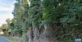 TBD White Bridge Rd - Photo 3