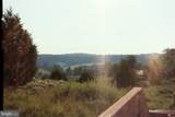 554 Acres Sperryville Pike - Photo 12