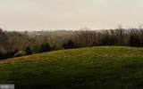 554 Acres Sperryville Pike - Photo 13