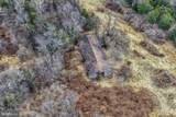 554 Acres Sperryville Pike - Photo 5