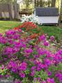 29910 Richard Circle - Photo 38