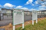 2892 White Tail Drive - Photo 47