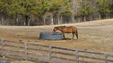 1815 Country Road - Photo 83