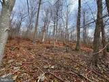  Frog Hollow Road - Photo 2