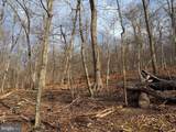  Frog Hollow Road - Photo 5