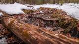 0 Modoc Road - Photo 18
