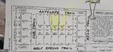 Lot 92 Antelope Trail - Photo 3