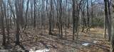 Lot 92 Antelope Trail - Photo 4