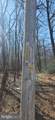 Lot 92 Antelope Trail - Photo 9