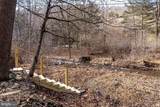 29 Shenandoah Mountain Road - Photo 49