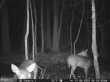 0 Tbd Fleming Mill - Photo 22