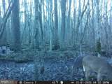 0 Tbd Fleming Mill - Photo 24
