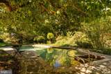 2943 Windy Bush Road - Photo 41