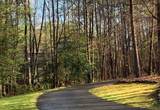 5735 Bent Pine Place - Photo 43