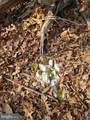 0 Lakefront Court - Photo 9