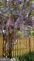29674 Old Valley Pike - Photo 46