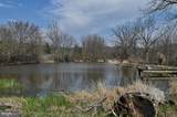 1700 Texter Mountain Road - Photo 9