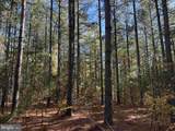  Off Of Shores Road (Tract: Tanager Et2 2020) - Photo 3