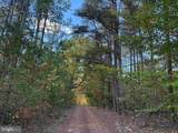  Off Of Shores Road (Tract: Tanager Et2 2020) - Photo 9