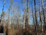  Winnsville Drive (Tract: Tanager Et2 2021) - Photo 10