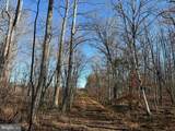  Winnsville Drive (Tract: Tanager Et2 2021) - Photo 11