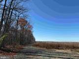  Winnsville Drive (Tract: Tanager Et2 2021) - Photo 6