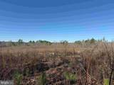  Winnsville Drive (Tract: Tanager Et2 2021) - Photo 9