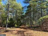  Off Of Diana Mill Road (Tract: Tanager Et2 2023 - Photo 1