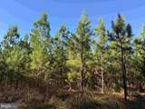  Off Of Diana Mill Road (Tract: Tanager Et2 2023 - Photo 10