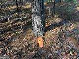  Off Of Diana Mill Road (Tract: Tanager Et2 2023 - Photo 11