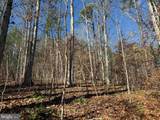  Off Of Diana Mill Road (Tract: Tanager Et2 2023 - Photo 12