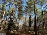  Off Of Diana Mill Road (Tract: Tanager Et2 2023 - Photo 19