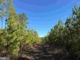  Off Of Diana Mill Road (Tract: Tanager Et2 2023 - Photo 20