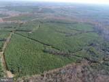  Off Of Diana Mill Road (Tract: Tanager Et2 2023 - Photo 4