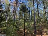  Off Of Diana Mill Road (Tract: Tanager Et2 2023 - Photo 8
