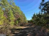  Off Of Diana Mill Road (Tract: Tanager Et2 2023 - Photo 9