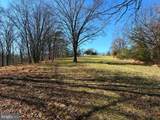 98.43 AC Parker Hollow Road - Photo 10