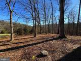 98.43 AC Parker Hollow Road - Photo 12