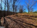 98.43 AC Parker Hollow Road - Photo 13