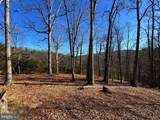 98.43 AC Parker Hollow Road - Photo 14