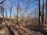 98.43 AC Parker Hollow Road - Photo 30