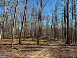 98.43 AC Parker Hollow Road - Photo 32